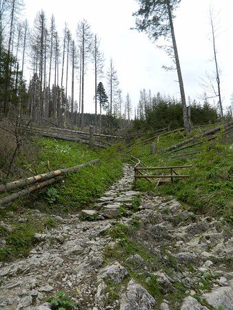 Hiking w Dolinie Kościeliskiej